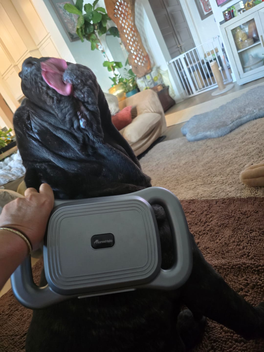 Customer review photo